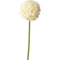Depot Einzelblumen & Zweige><noscript><img width=