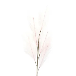 Depot Einzelblumen & Zweige>Kunst-Pampasgras