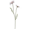 Depot Einzelblumen & Zweige>Kunst-Stielblume Cosmea
