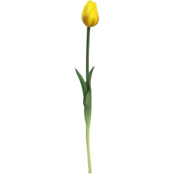 Depot Einzelblumen & Zweige>Kunst-Stielblume Tulpe