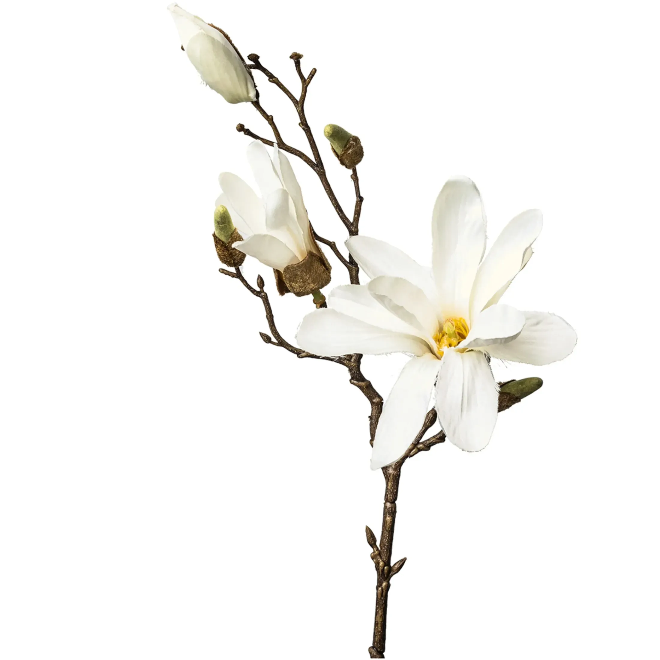Depot Einzelblumen & Zweige>Kunst-Zweig Magnolie
