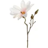 Depot Einzelblumen & Zweige>Kunst-Zweig Magnolie