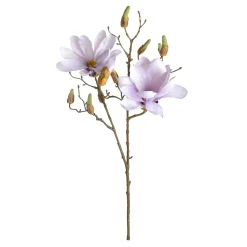 Depot Einzelblumen & Zweige>Kunst-Zweig Magnolie