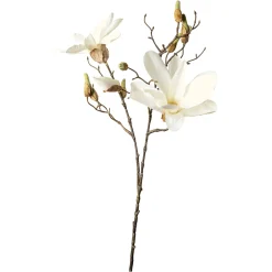 Depot Einzelblumen & Zweige>Kunst-Zweig Magnolie