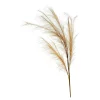 Best Depot Stielblume Pampas Glam Ca. 110