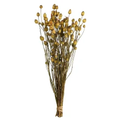 Cheap Depot Trockenblumenbund Sonnenwend