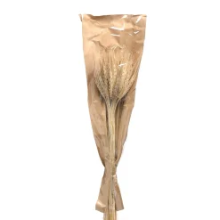 Depot Einzelblumen & Zweige>Trockenblumen-Bundel Ahren