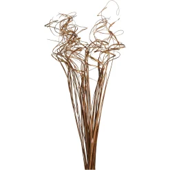 Depot Einzelblumen & Zweige>Trockenblumen-Bundel Curly