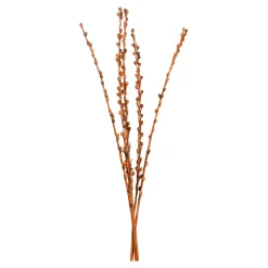 Store Depot Trockenbundel Seaberries