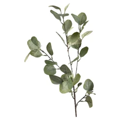 Fashion Depot Zweig Eukalyptus Ca.73Cm