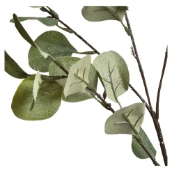 Fashion Depot Zweig Eukalyptus Ca.73Cm